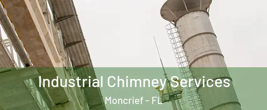 Industrial Chimney Services Moncrief - FL