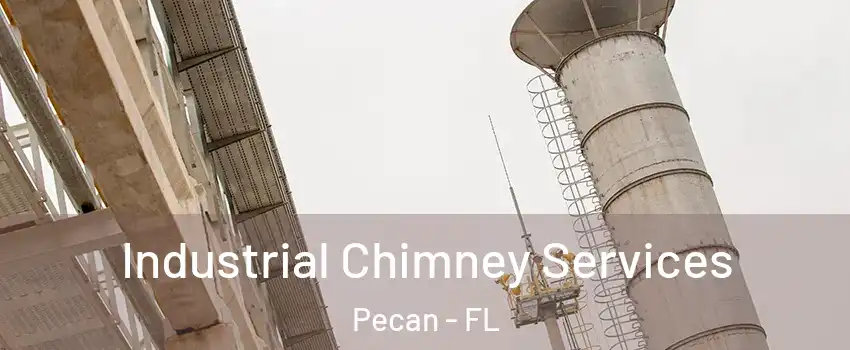 Industrial Chimney Services Pecan - FL