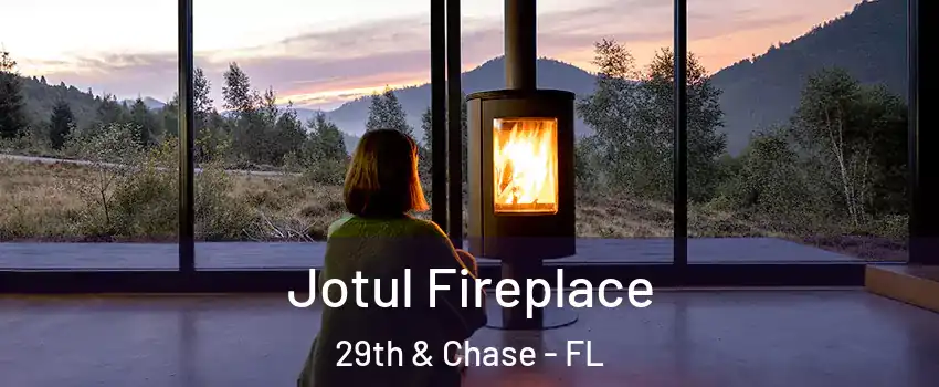 Jotul Fireplace 29th & Chase - FL