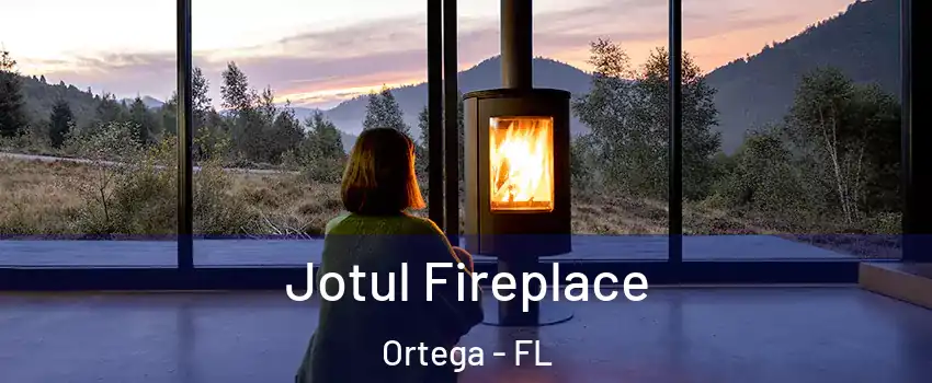 Jotul Fireplace Ortega - FL