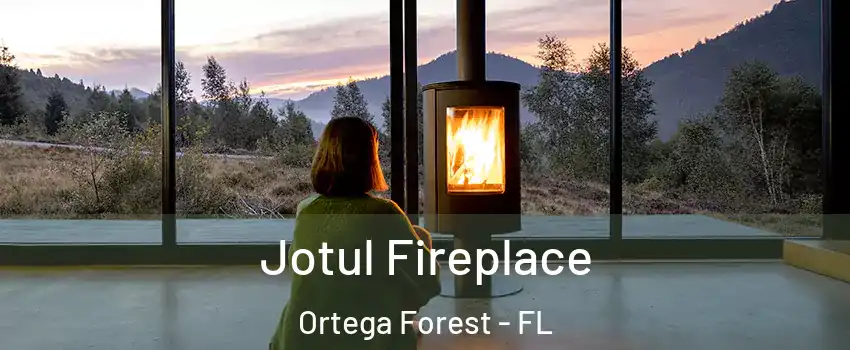 Jotul Fireplace Ortega Forest - FL