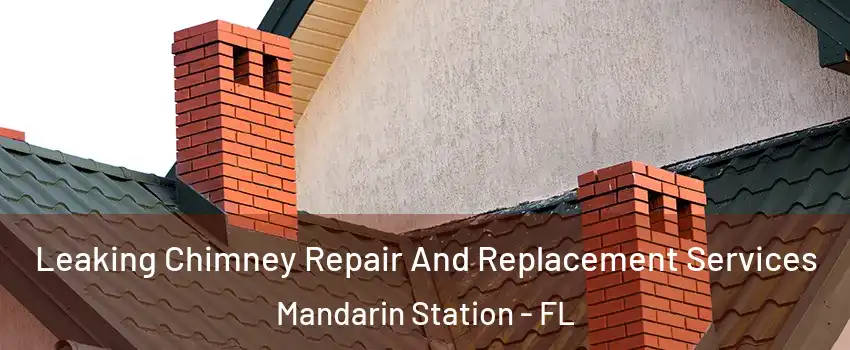 Leaking Chimney Repair And Replacement Services Mandarin Station - FL