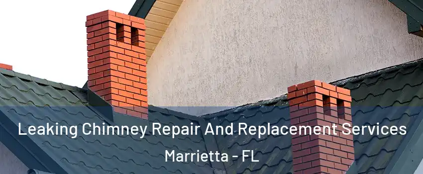 Leaking Chimney Repair And Replacement Services Marrietta - FL