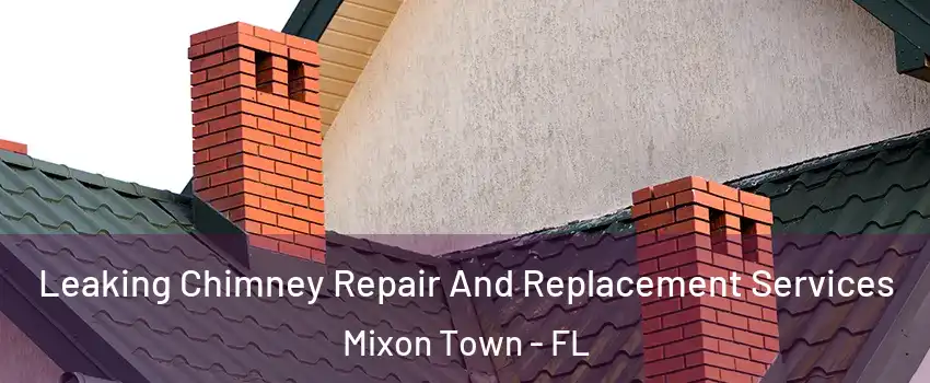 Leaking Chimney Repair And Replacement Services Mixon Town - FL