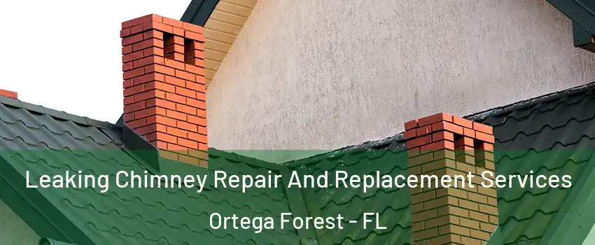 Leaking Chimney Repair And Replacement Services Ortega Forest - FL