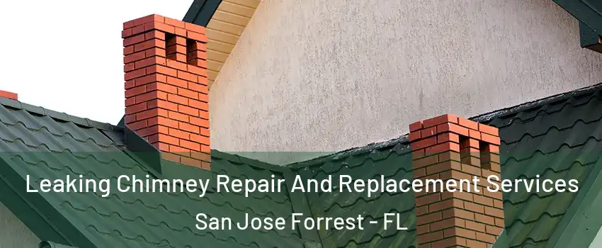 Leaking Chimney Repair And Replacement Services San Jose Forrest - FL