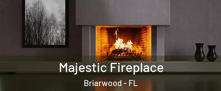 Majestic Fireplace Briarwood - FL