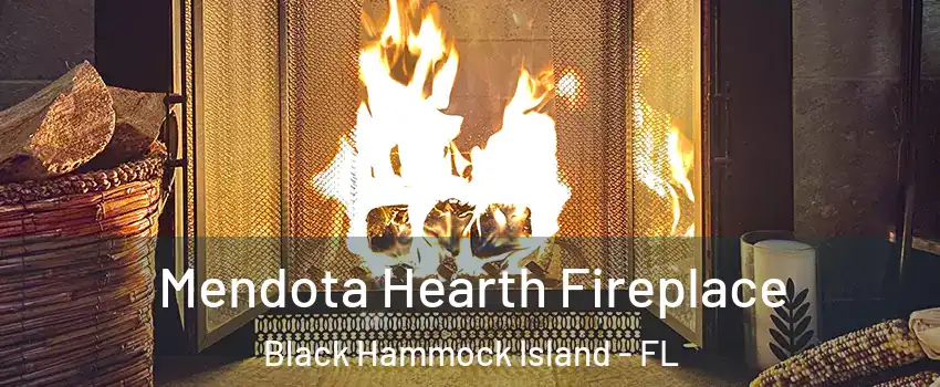 Mendota Hearth Fireplace Black Hammock Island - FL