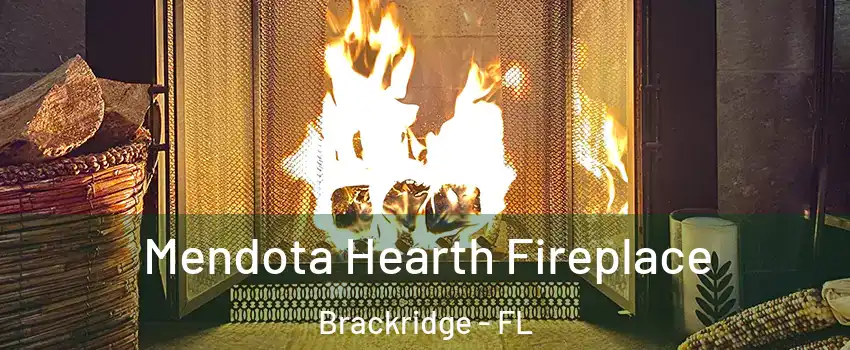 Mendota Hearth Fireplace Brackridge - FL