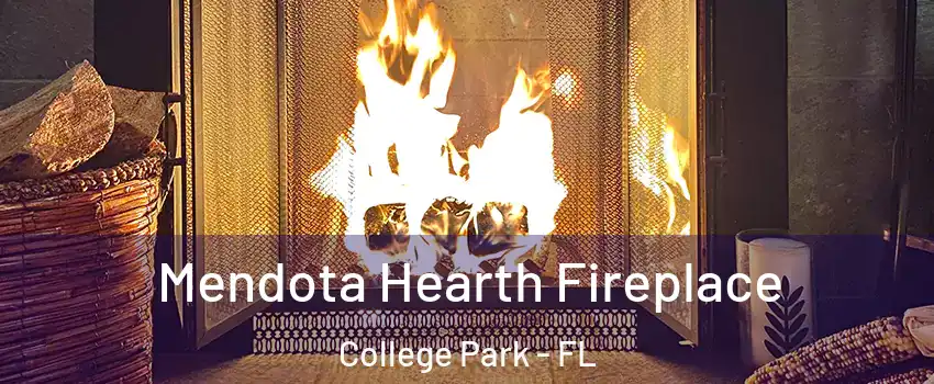 Mendota Hearth Fireplace College Park - FL