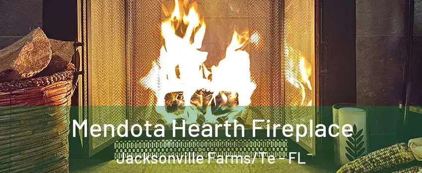 Mendota Hearth Fireplace Jacksonville Farms/Te - FL