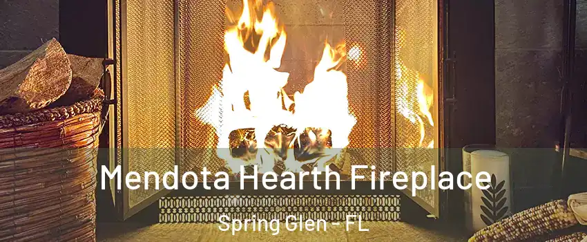 Mendota Hearth Fireplace Spring Glen - FL