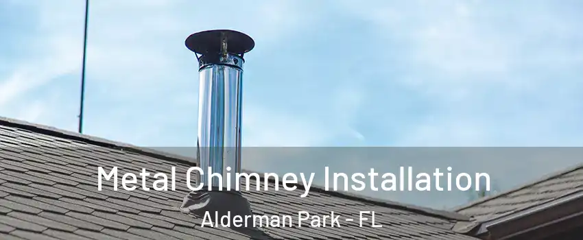 Metal Chimney Installation Alderman Park - FL