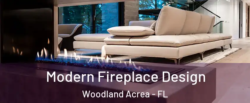 Modern Fireplace Design Woodland Acrea - FL