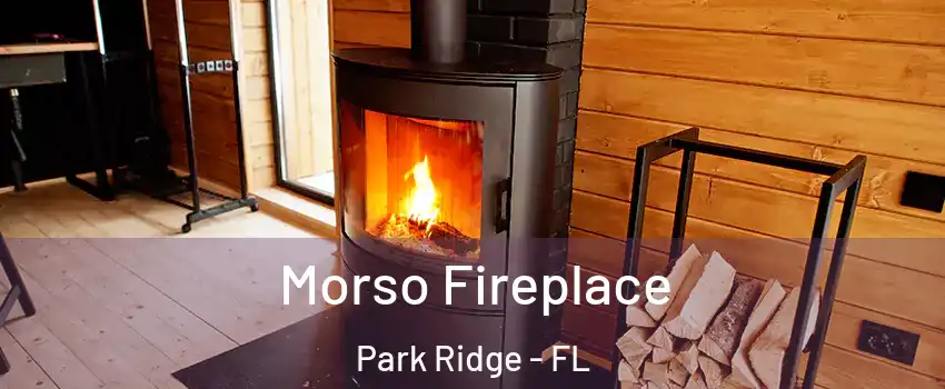 Morso Fireplace Park Ridge - FL