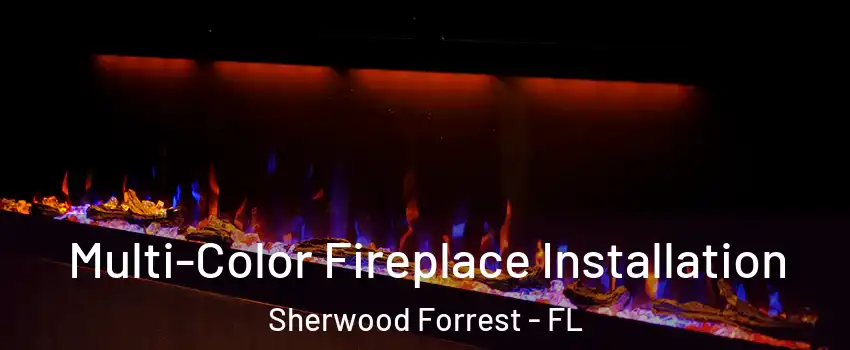 Multi-Color Fireplace Installation Sherwood Forrest - FL