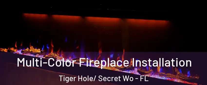 Multi-Color Fireplace Installation Tiger Hole/ Secret Wo - FL