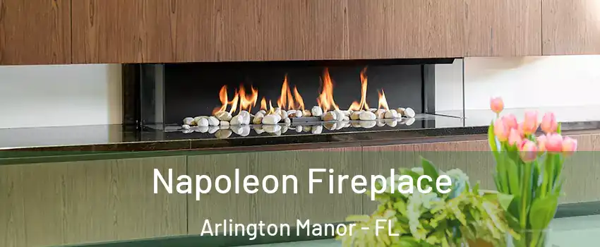 Napoleon Fireplace Arlington Manor - FL