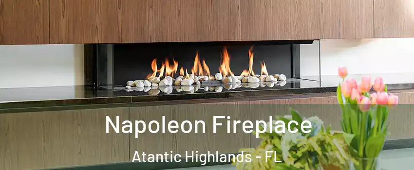 Napoleon Fireplace Atantic Highlands - FL