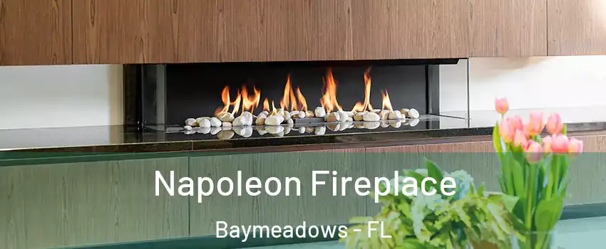 Napoleon Fireplace Baymeadows - FL