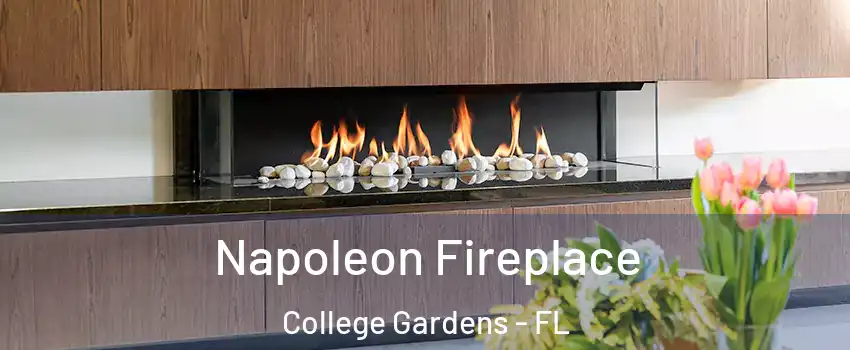 Napoleon Fireplace College Gardens - FL