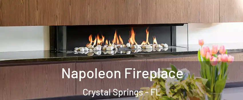 Napoleon Fireplace Crystal Springs - FL