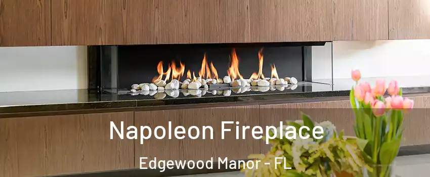 Napoleon Fireplace Edgewood Manor - FL