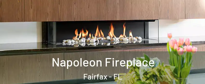 Napoleon Fireplace Fairfax - FL