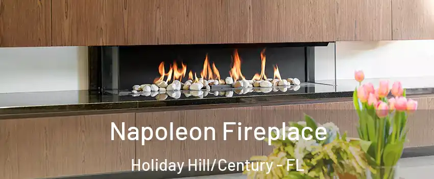 Napoleon Fireplace Holiday Hill/Century - FL