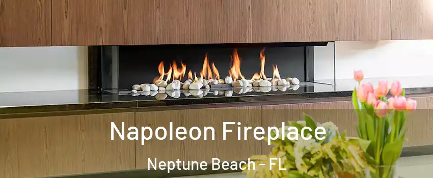 Napoleon Fireplace Neptune Beach - FL