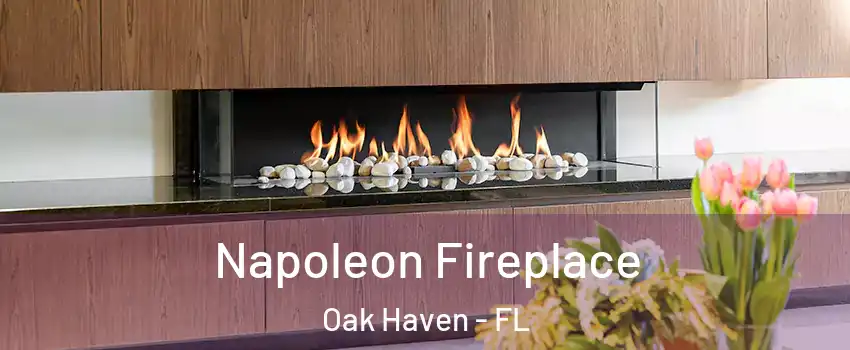 Napoleon Fireplace Oak Haven - FL