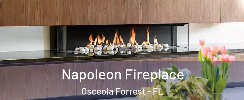 Napoleon Fireplace Osceola Forrest - FL