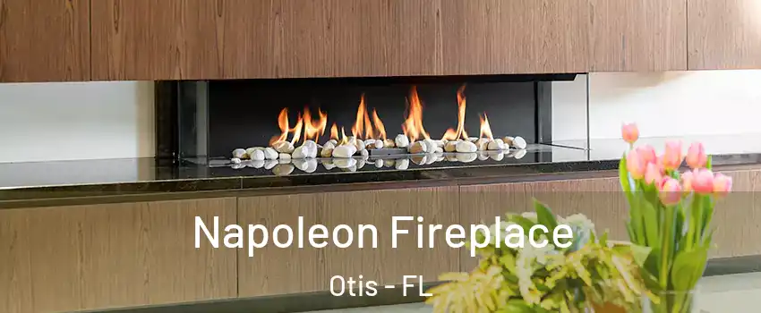 Napoleon Fireplace Otis - FL