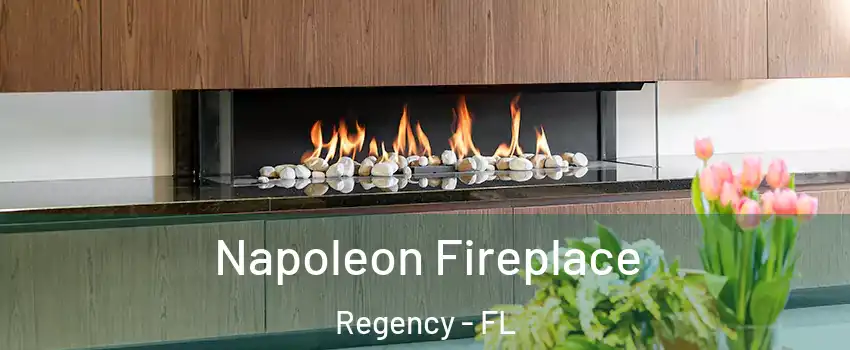 Napoleon Fireplace Regency - FL