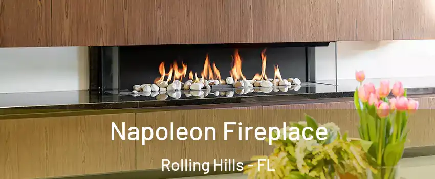 Napoleon Fireplace Rolling Hills - FL