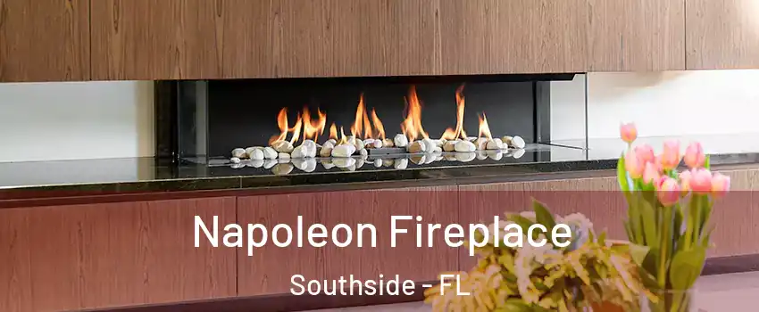 Napoleon Fireplace Southside - FL