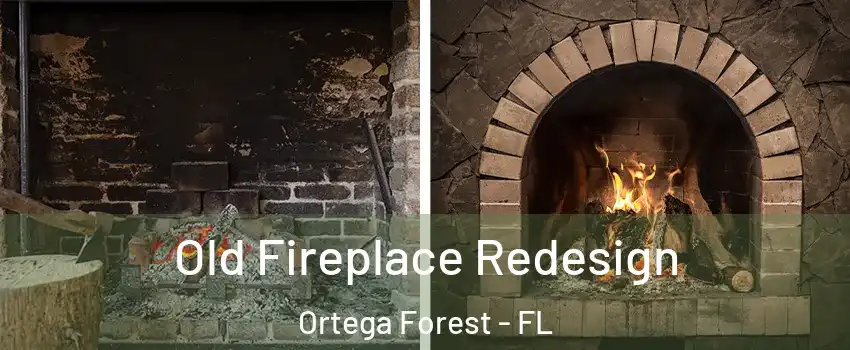 Old Fireplace Redesign Ortega Forest - FL