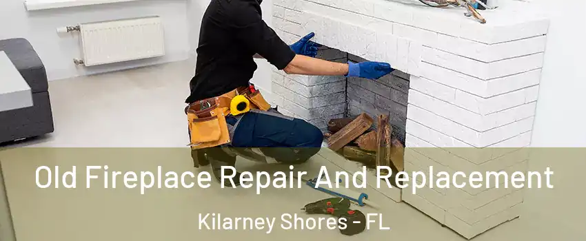 Old Fireplace Repair And Replacement Kilarney Shores - FL