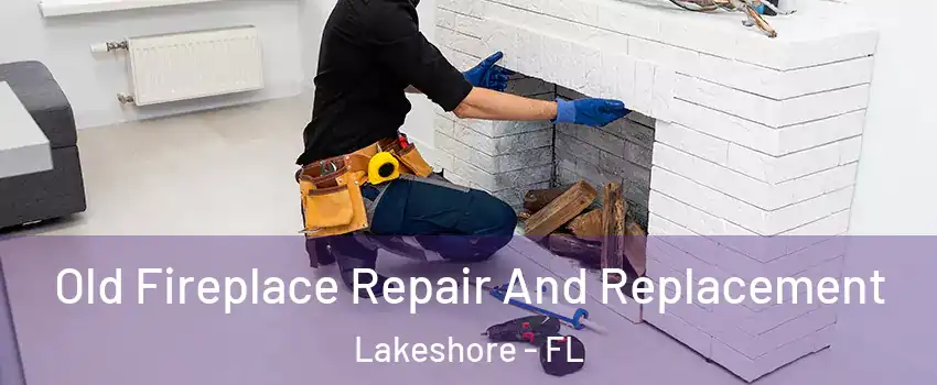 Old Fireplace Repair And Replacement Lakeshore - FL