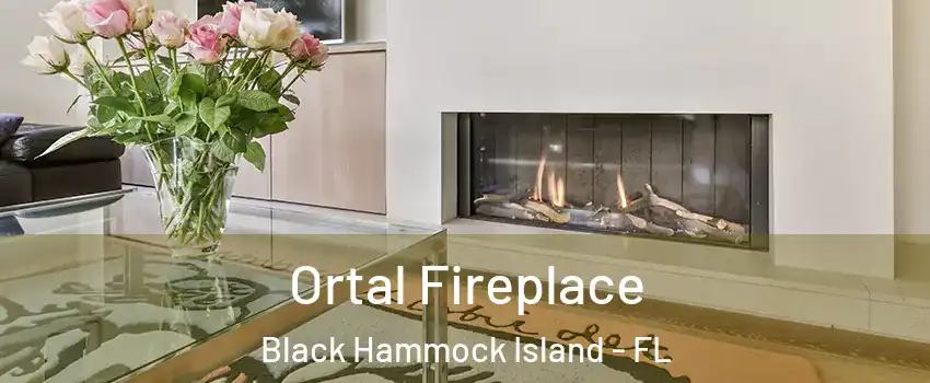 Ortal Fireplace Black Hammock Island - FL