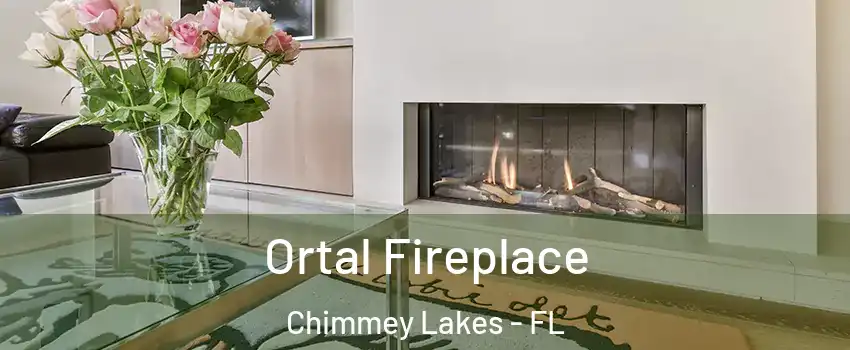 Ortal Fireplace Chimmey Lakes - FL