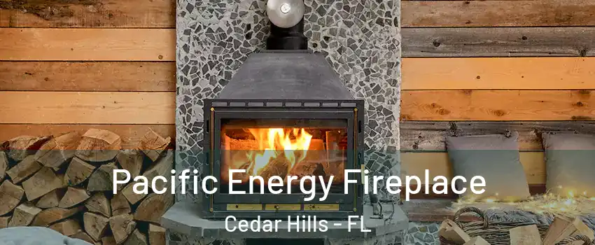 Pacific Energy Fireplace Cedar Hills - FL