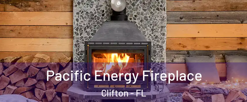 Pacific Energy Fireplace Clifton - FL