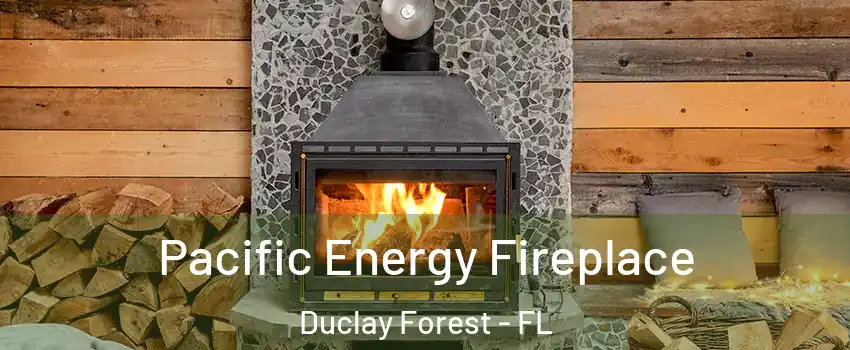 Pacific Energy Fireplace Duclay Forest - FL