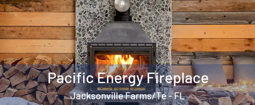 Pacific Energy Fireplace Jacksonville Farms/Te - FL