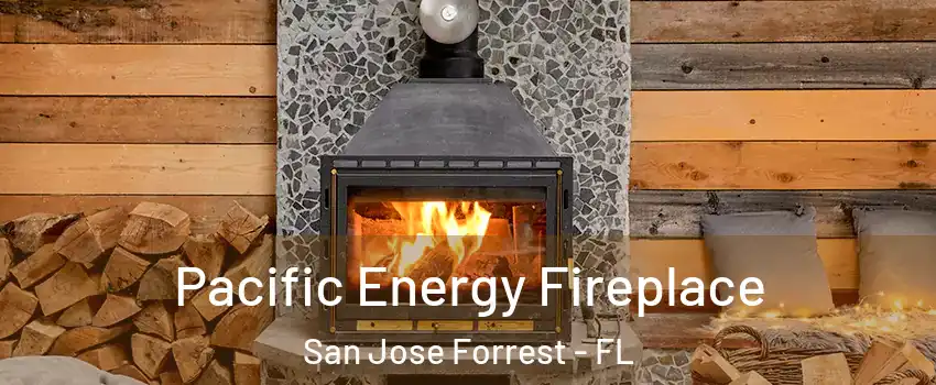 Pacific Energy Fireplace San Jose Forrest - FL