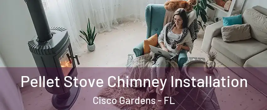 Pellet Stove Chimney Installation Cisco Gardens - FL