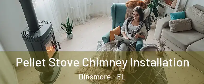 Pellet Stove Chimney Installation Dinsmore - FL