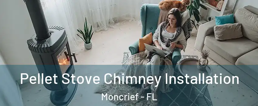 Pellet Stove Chimney Installation Moncrief - FL