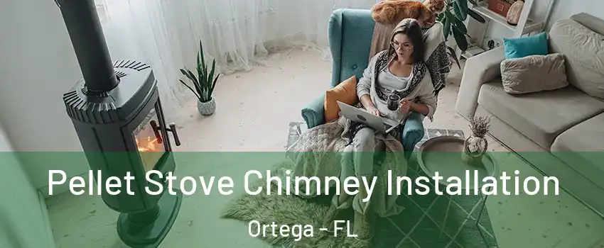 Pellet Stove Chimney Installation Ortega - FL